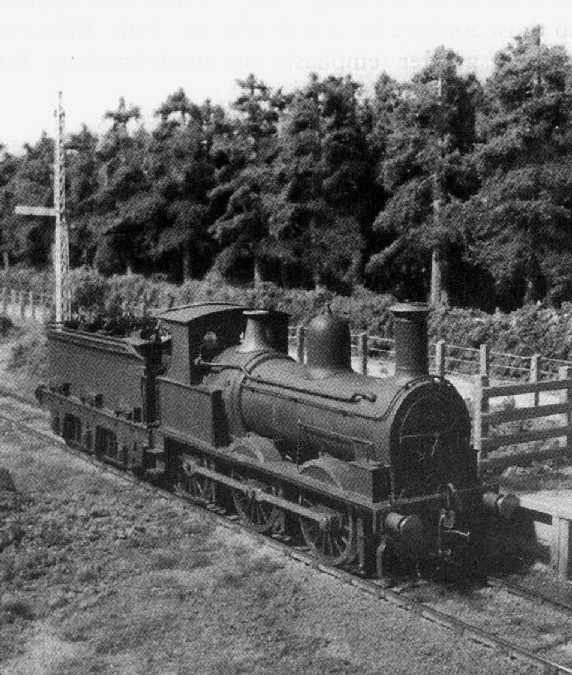 Carlisle at Lydham Heath