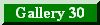 Gallery 30